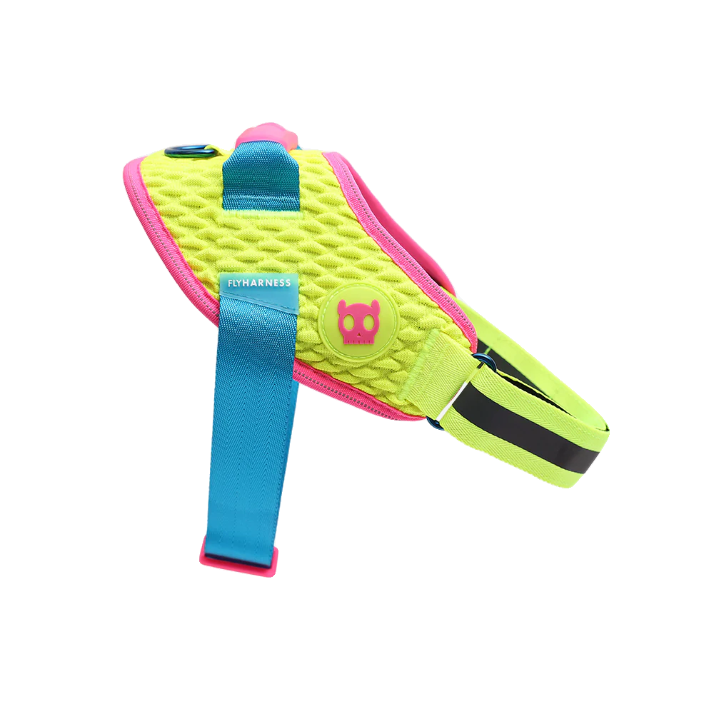 Zeedog CMYK Flyharness 