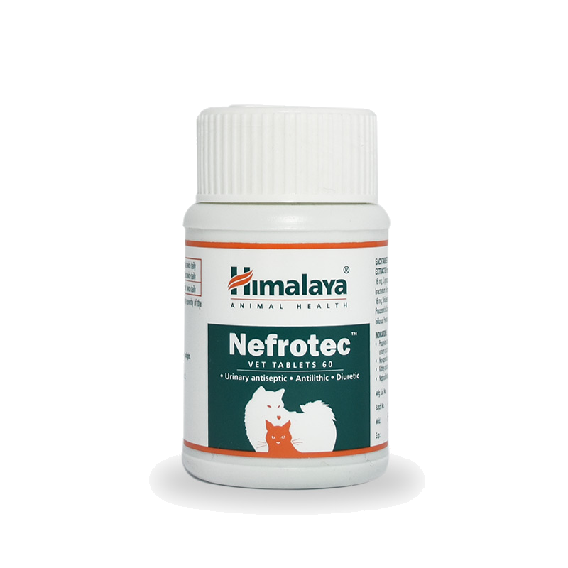 Himalaya Nefrotec Tabletas (Por Frasco)