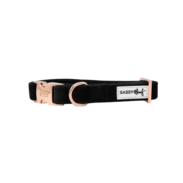 Holy Pets Velvet Collar