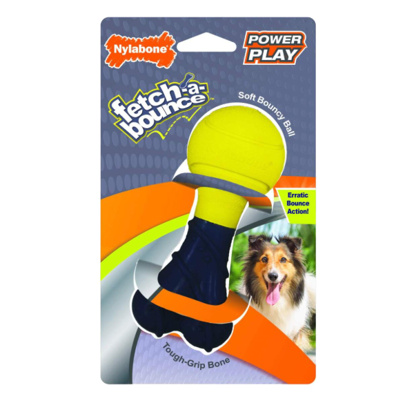 Nylabone - Fetch a Bounce