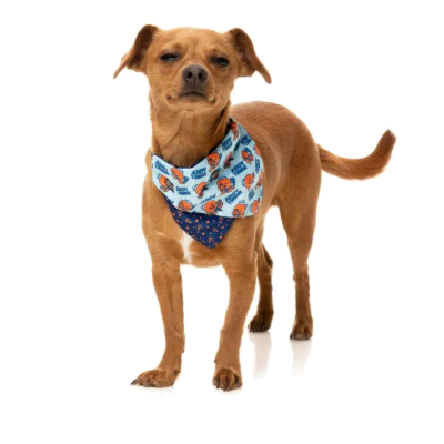 FuzzYard Bandana - Ahoy There!