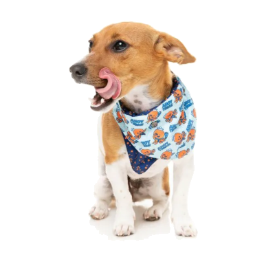 FuzzYard Bandana - Ahoy There!