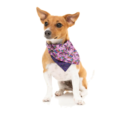 FuzzYard Bandana - FuzzYard Fiesta