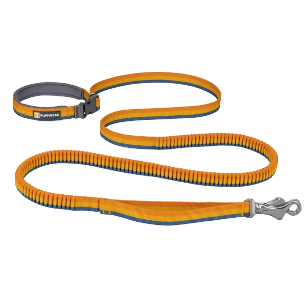 Ruffwear Roamer Bungee Dog Leash - Yellow Snow