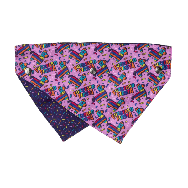 FuzzYard Bandana - FuzzYard Fiesta