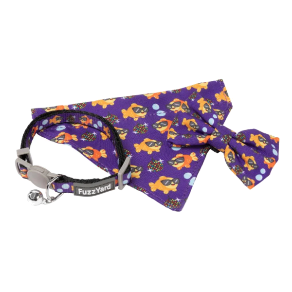 FuzzYard Pack de Moda para Gato - Caturday Night Fever