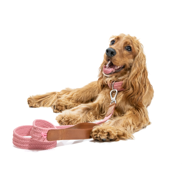 Obi Pet Supplies Correa - Rufo Rosa