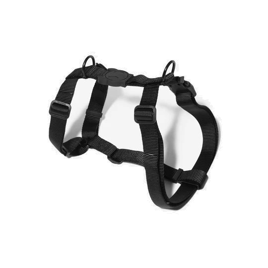 Zeedog H-Harness - Gotham
