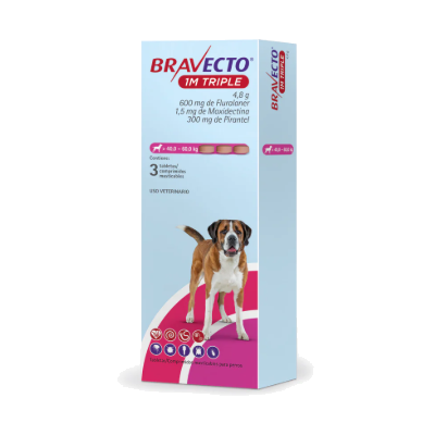 Bravecto 1M Triple Canino 600mg 40 a 60kg (Turquesa)