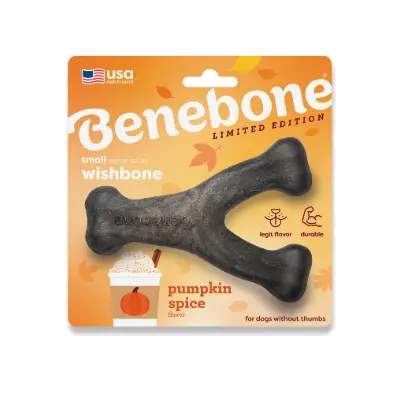 Benebone - Wishbone Pumpkin Spice Small 