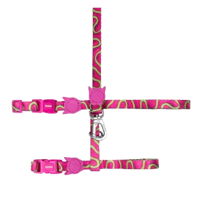 ZEEDOG - JELLY CAT HARNESS + LEASH 