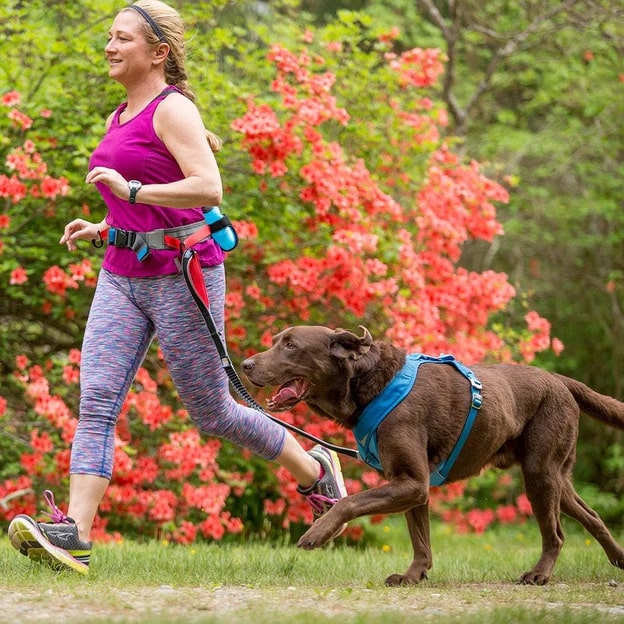 Kurgo Springback Dog Leash - 48" Hiking and Running Leash
