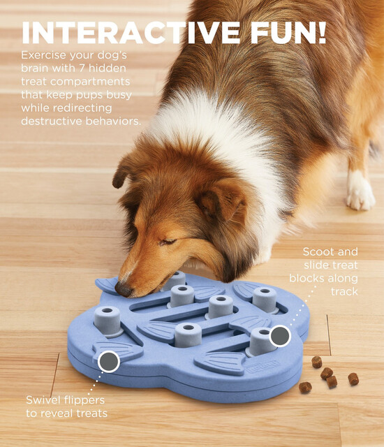 Outward Hound Dog Hide N' Slide Interactive Treat Puzzle Dog Toy, Purple
