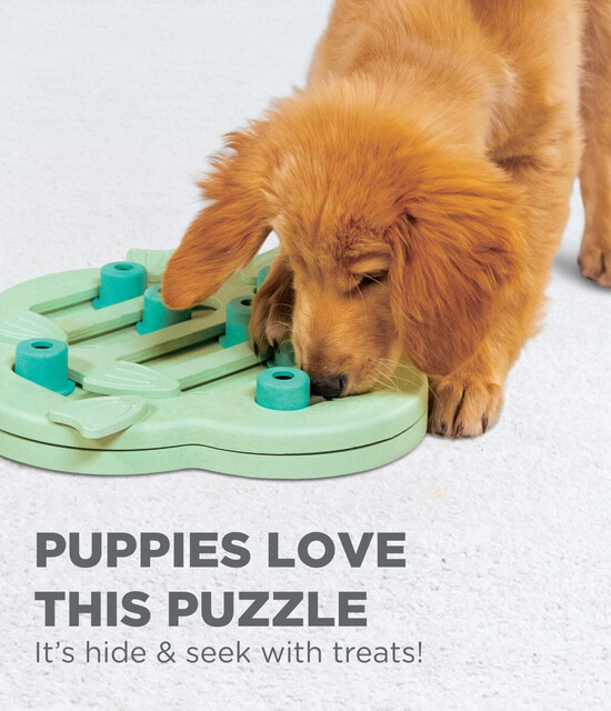 Outward Hound Puppy Hide N' Slide Interactive Treat Puzzle Dog Toy, Green