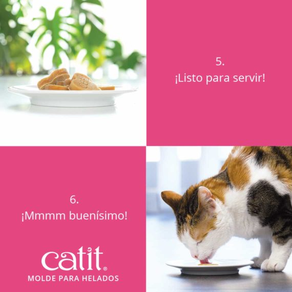 Catit Molde para Helados en Forma de Corazón