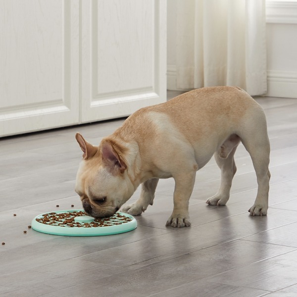 Outward Hound Fun Feeder Slow Tray Large