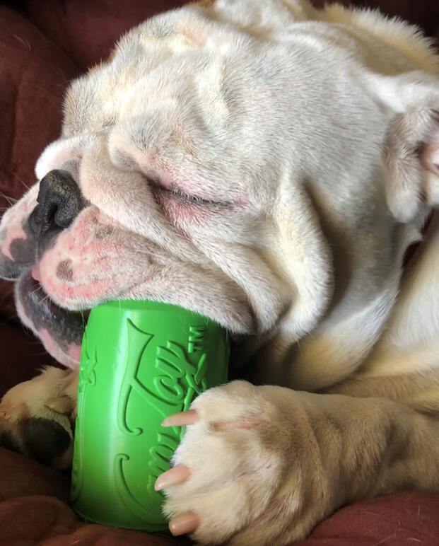 Sodapup Can Toy Durable Rubber Chew Toy & Treat Dispenser