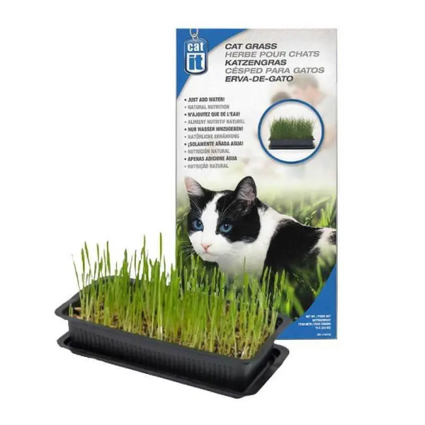 Suplidora Alimento Zacate Para Gato 125 Gr.
