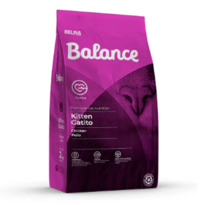 Balance Kitten Cat Pollo