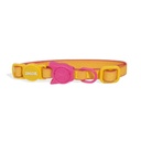 Zeedog Dog Collar - Neopro Lyra