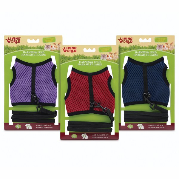Living World Arnes Grande para Roedores - Azul o Lila