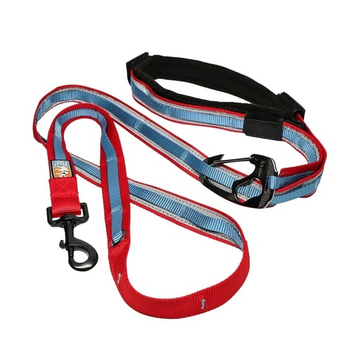 Kurgo -Quantum 6-In-1 Dog Leash