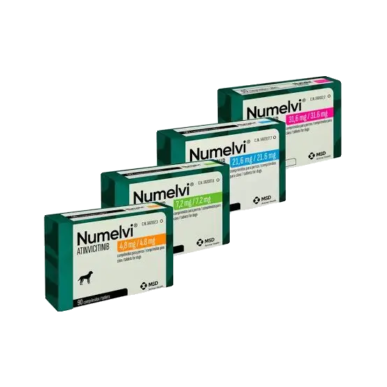 NUMELVI CAJA