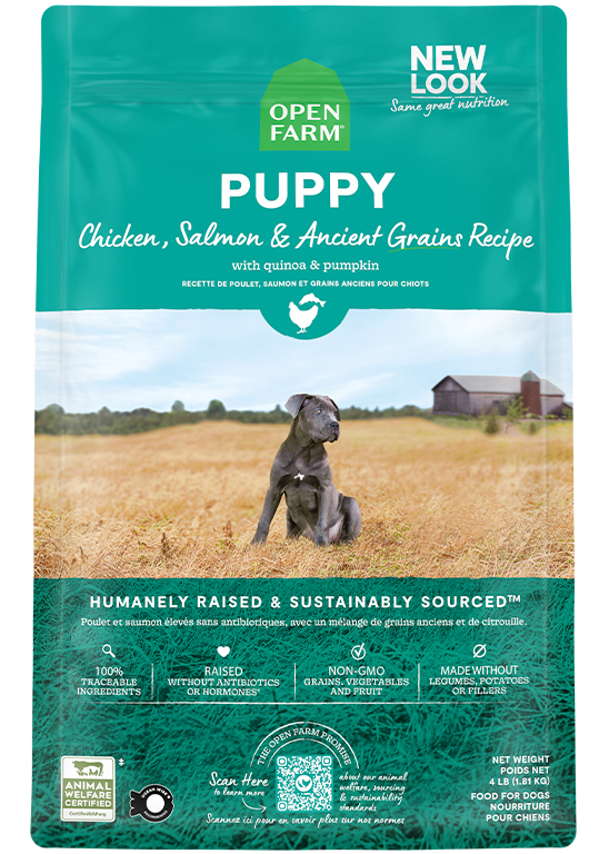 Puppy & Ancient Grains Kibble 4lb