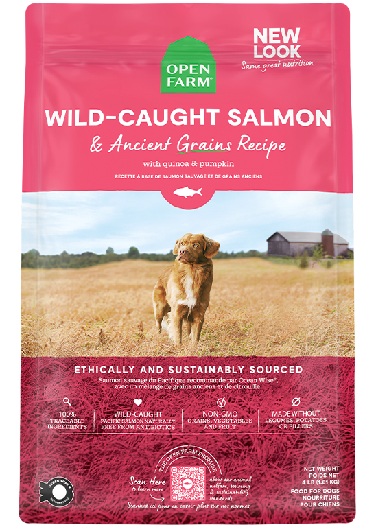 Wild Caught Salmon & Ancient Grains Kibble 4lb