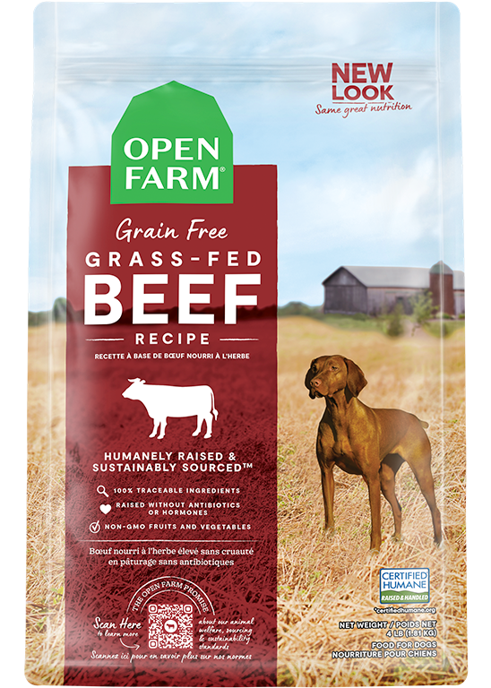 Grass-Fed Beef Grain Free Kibble 22lb