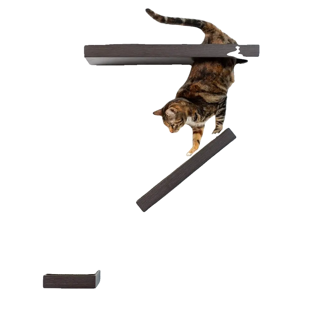 PetFusion - Estantes De Pared Para Gatos 