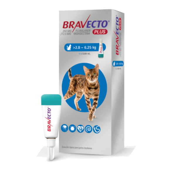 Bravecto Gato Plus 250 Mg (2.8Kg a 6.25Kg)