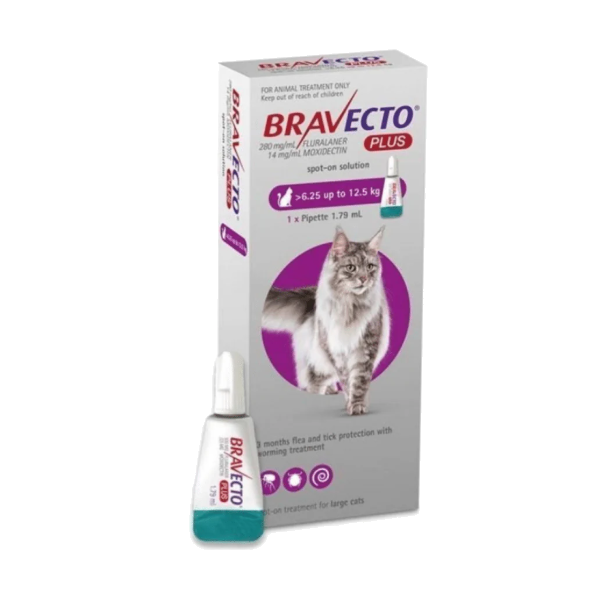 Bravecto Gato Plus 500 Mg (6.25Kg a 12.5Kg)
