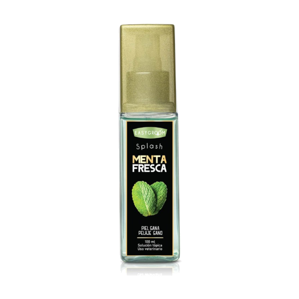 Easy Groom Splash De Menta Fresca 100ml