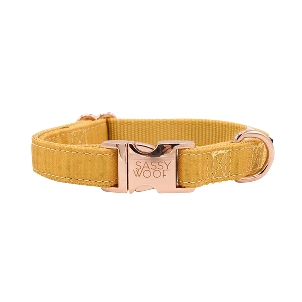 Holy Pets Sunflower Fields Collar S