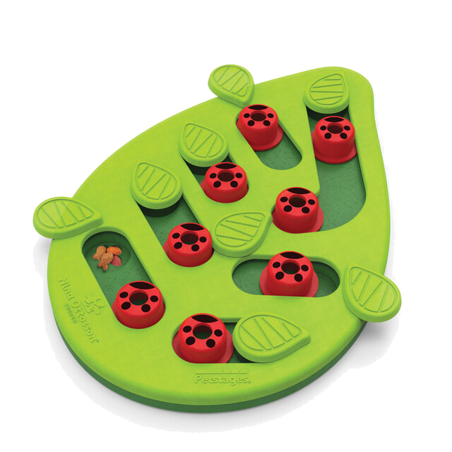 Outward Hound Buggin' Out Puzzle & Play Cat Game, Green