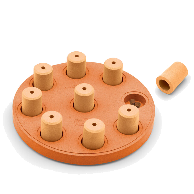 Outward Hound Dog Smart Composite Interactive Treat Puzzle Dog Toy, Orange