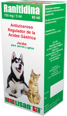 Lisan Ranitidina 150 Mg / 5 Ml