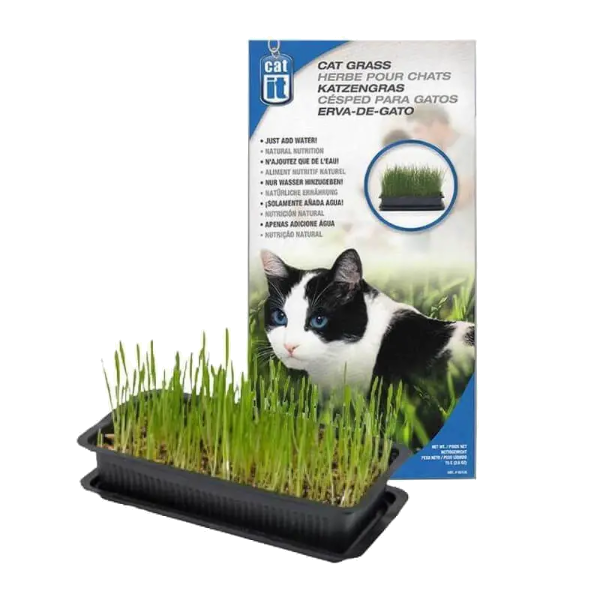 Suplidora Alimento Zacate Para Gato 125 Gr.