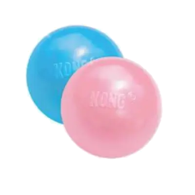 KONG PUPPY BALL WHOLE MEDIUMLARGE
