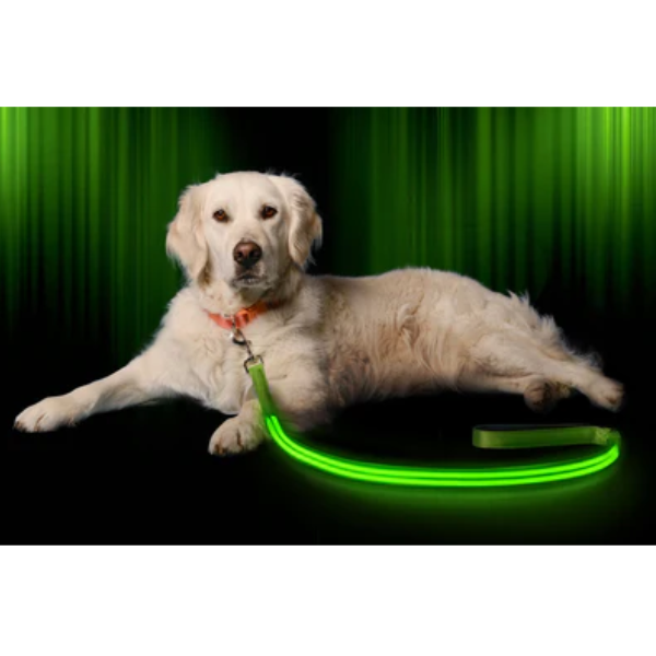 Ilumiseen -Led Dog Leash Green