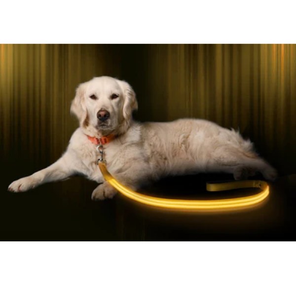 Ilumiseen-LED Dog Leash Blue