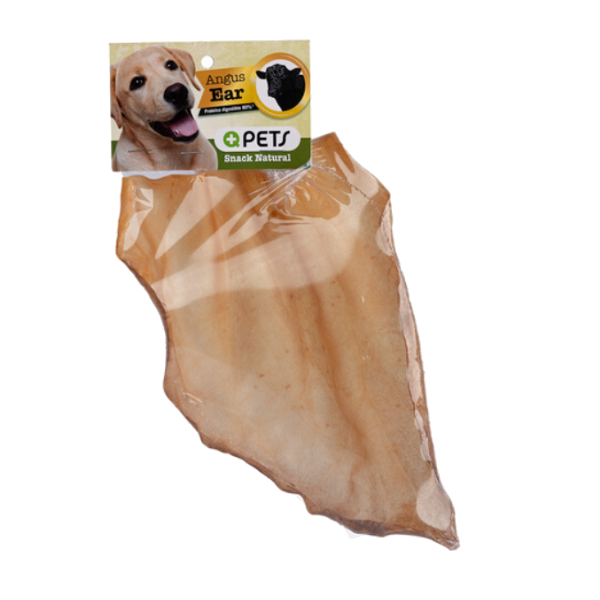 +Qpets Angus Ear