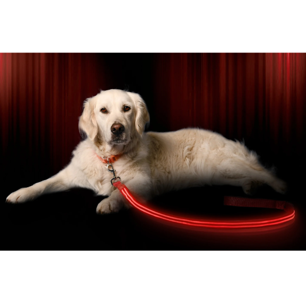 Ilumiseen -LED Rojo Dog Leash