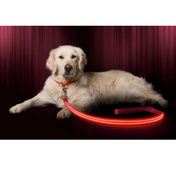 Ilumiseen -LED Leash Rosada