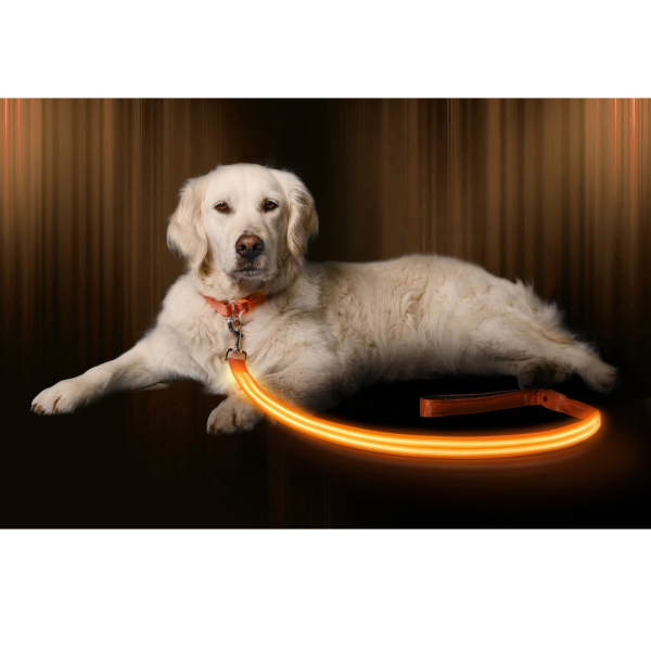 Ilumiseen -LED Anaranjado Dog Leash