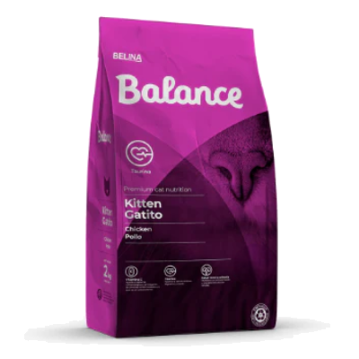 Balance Kitten Cat Pollo