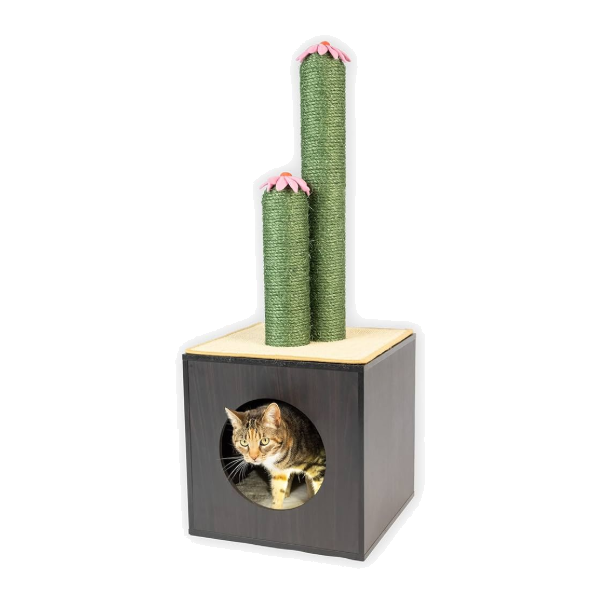 Pet Fusion Rasgador Cubo (Cactus)
