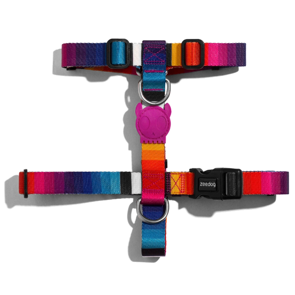 Zeedog H-Harness - Prisma