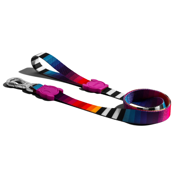 Zeedog Leash - Prisma